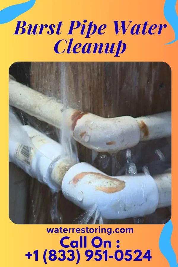 Burst Pipe Water Cleanup in Mowrystown, OH