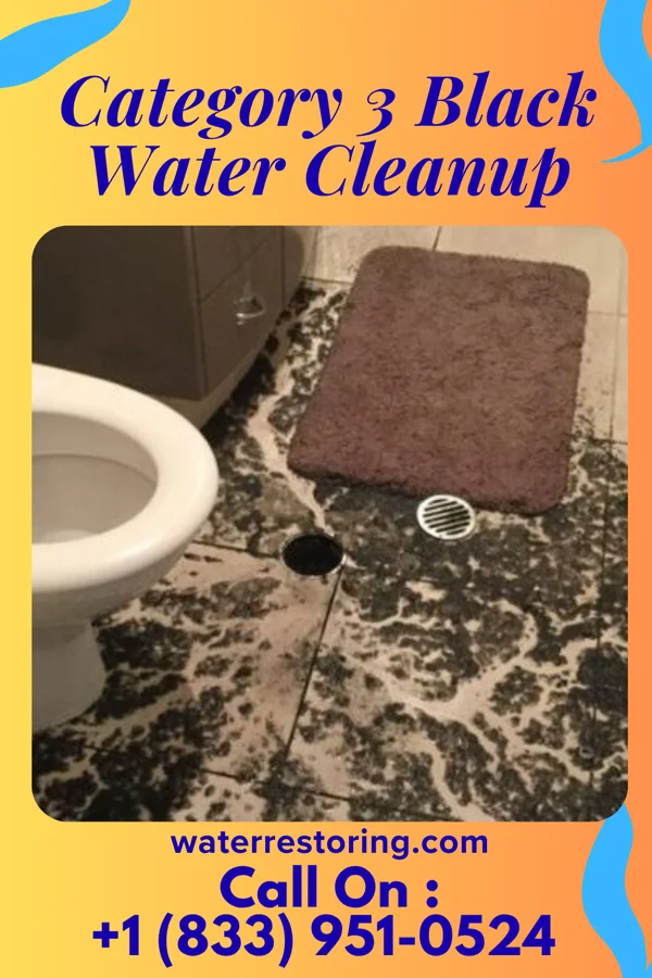 Category 3 Black Water Cleanup in Mowrystown, OH