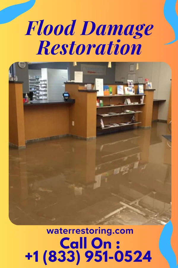 Flood Damage Restoration in Mowrystown, OH