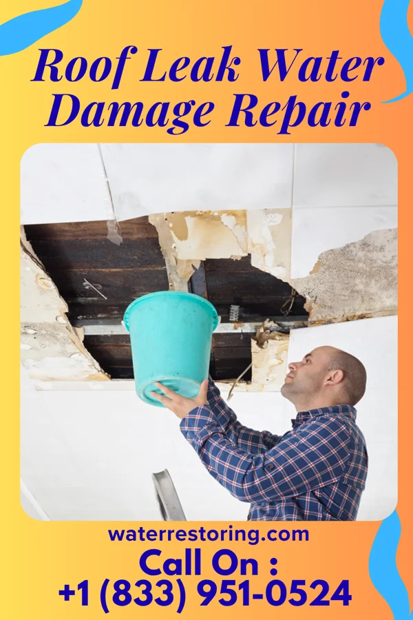 Roof Leak Water Damage Repair in Mowrystown, OH