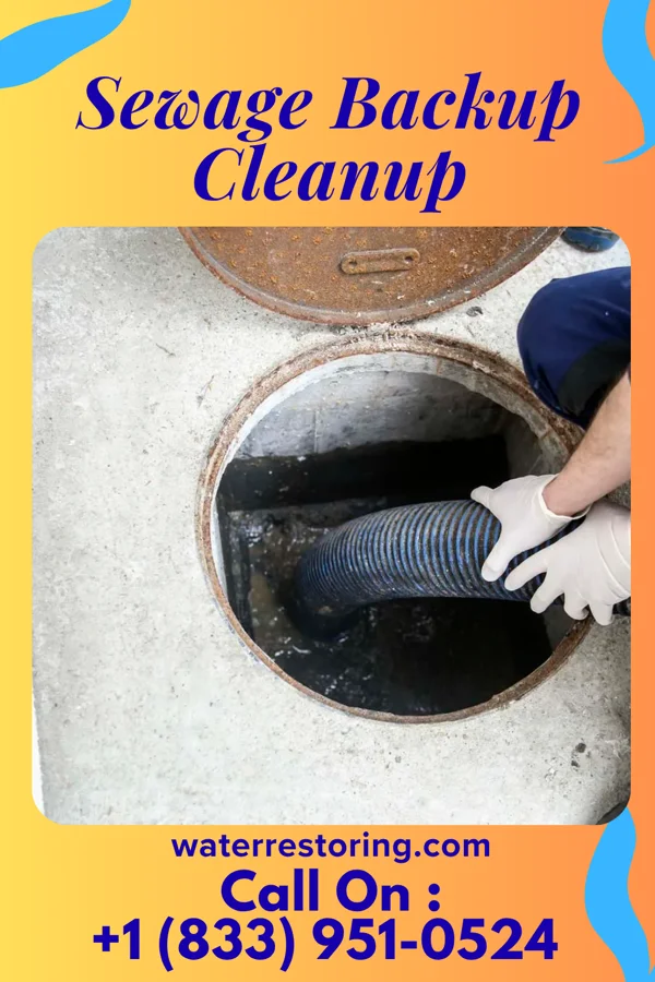Sewage Backup Cleanup in Mowrystown, OH