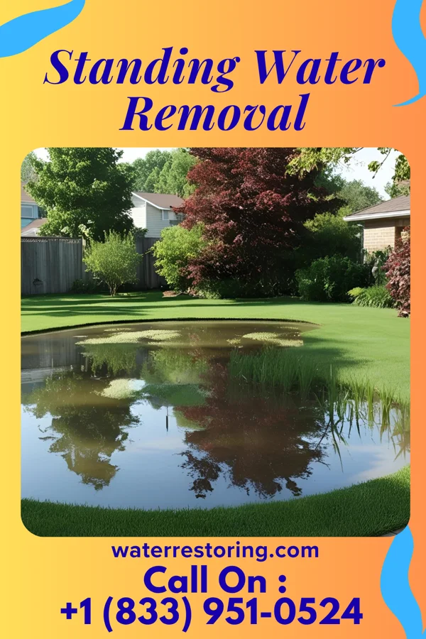 Standing Water Removal in Mowrystown, OH